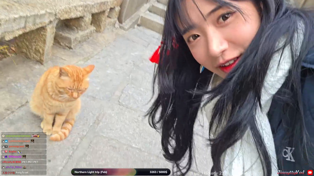 Cat Distribution System in Action