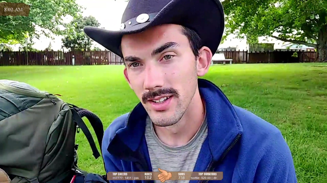 Chat perfectly describes streamer's appearance
