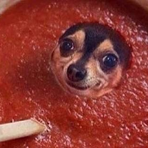 DiddySauce