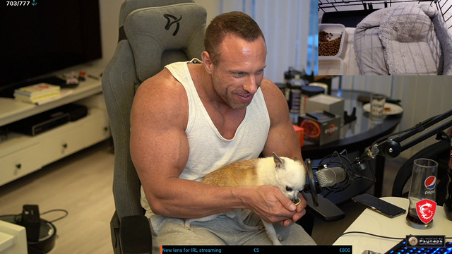 There’s a new ASMR streamer in town