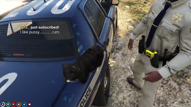 How the cops handle cats