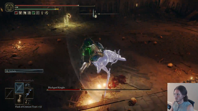 Jerma's Dog ruins the fight