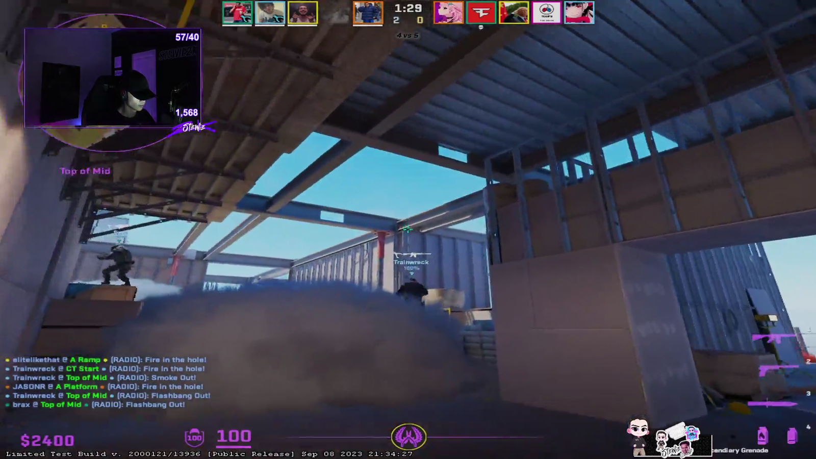 Stewie is back!
