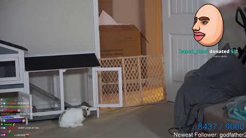dedo breaks out. warning: super cute