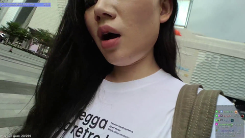 Discord drama interrupts IRL stream
