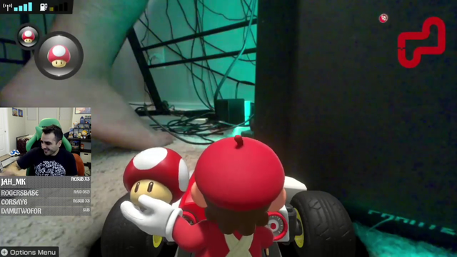 Mario Kart Nintendogs DLC goes wrong