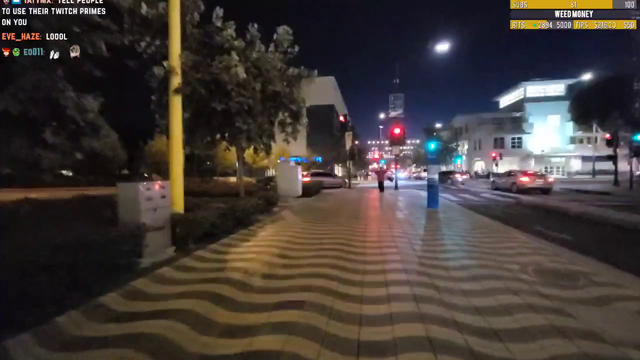 Kaceytron Runs Into a GTA NPC