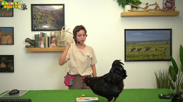 MAYA Shows Her Cock