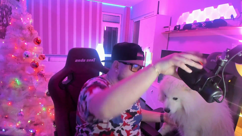 Dog wants to be petted