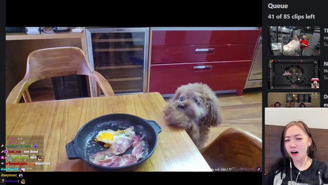 a furry sees a dog
