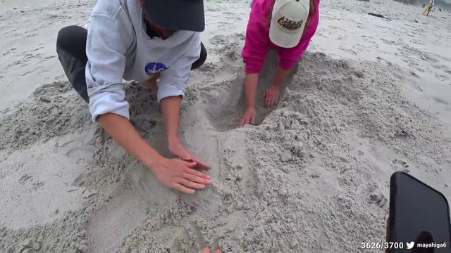 Maya - Dog loves holes