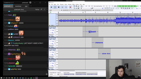A song Poke made while waiting for Tarkov queue