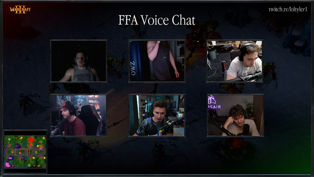 Voice chat glitch