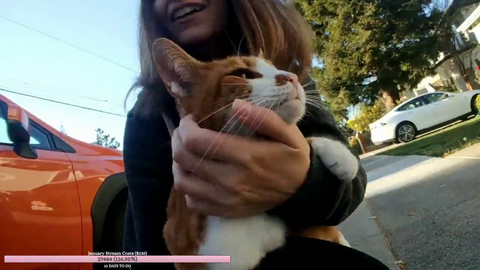 aaaand the cat came back the very next day lol