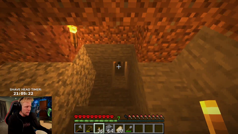 Minecraft is a horror game
