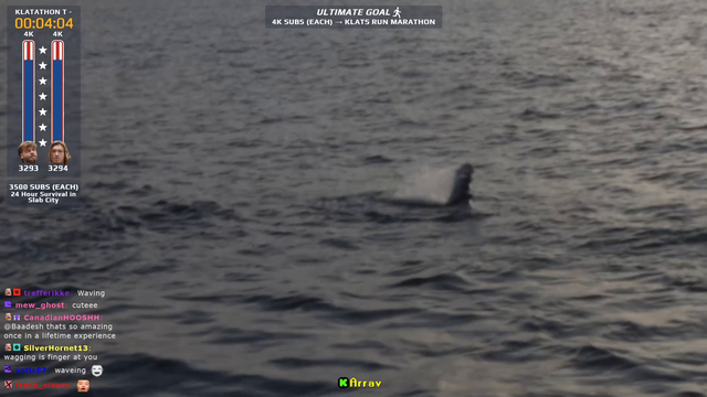 Humpback