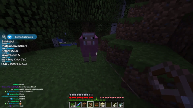 Connor's sheep grows up