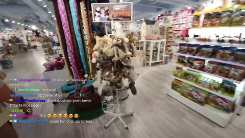 Swedish man thinks toy monkey is real