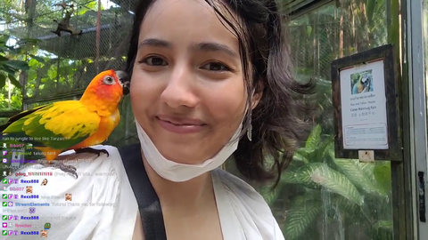 Bird kisses livestreamer