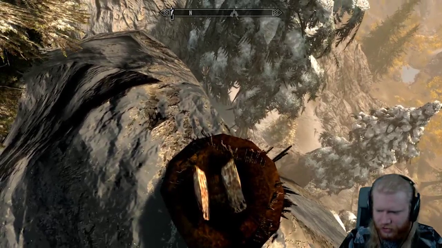 Well you CAN ride birds in skyrim apparently