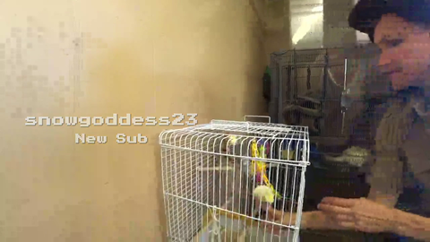 Scuffed MayaHiga shows off her bird handling