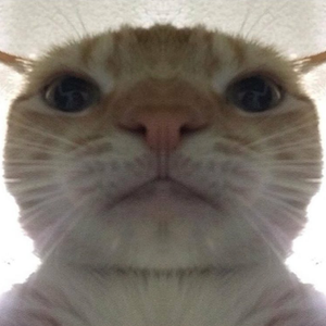 chaseth_