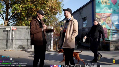 Average Mizkif Viewer