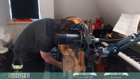 Cat steals the chair
