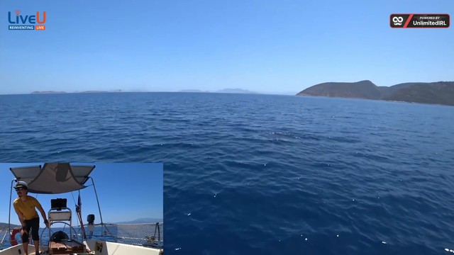 Awkwards_Travel have a dolphin come visit in the Mediterranean