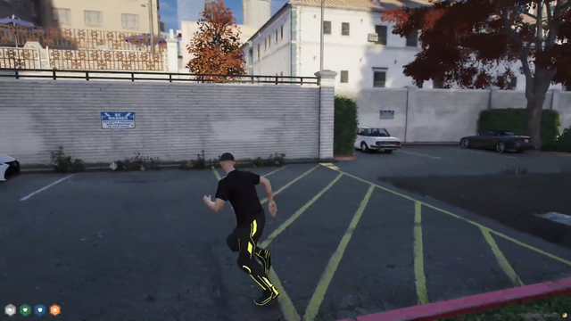 Lamont after 10 minutes on NoPixel