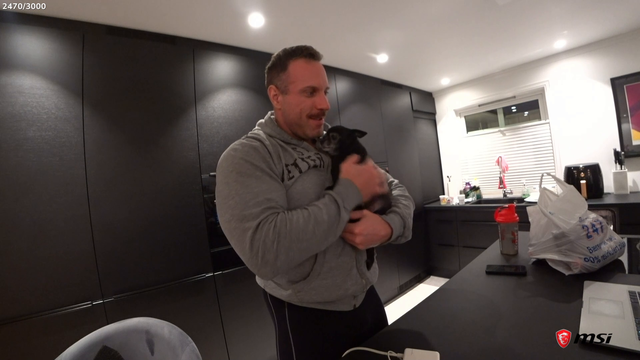 Knut's dog being bullied by chat