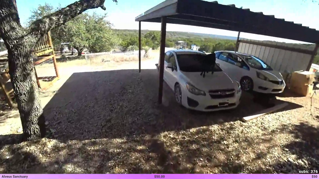 Menace II Society