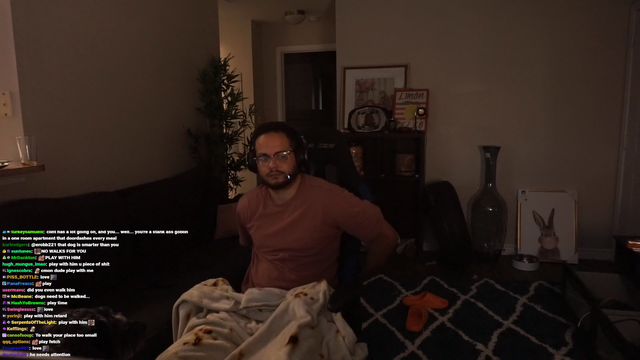 Erobb221 plays ball in the house