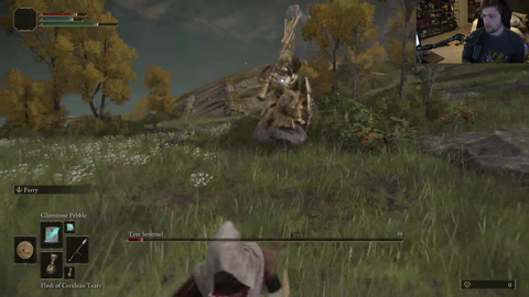 Soda enjoying his Elden Ring playthrough