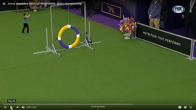 Jerma Crushes the Westminster Agility Course