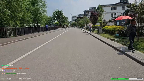 streamer dodged a child running out onto the road