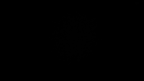Jinny forgets to turn off stream after her and Greek's date