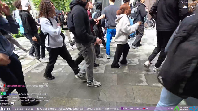 Wrong Place/Wrong Time - Karii gets tear gassed in Brussels