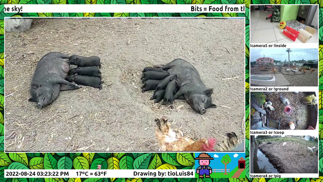Wiggly waggly nursing piggies!