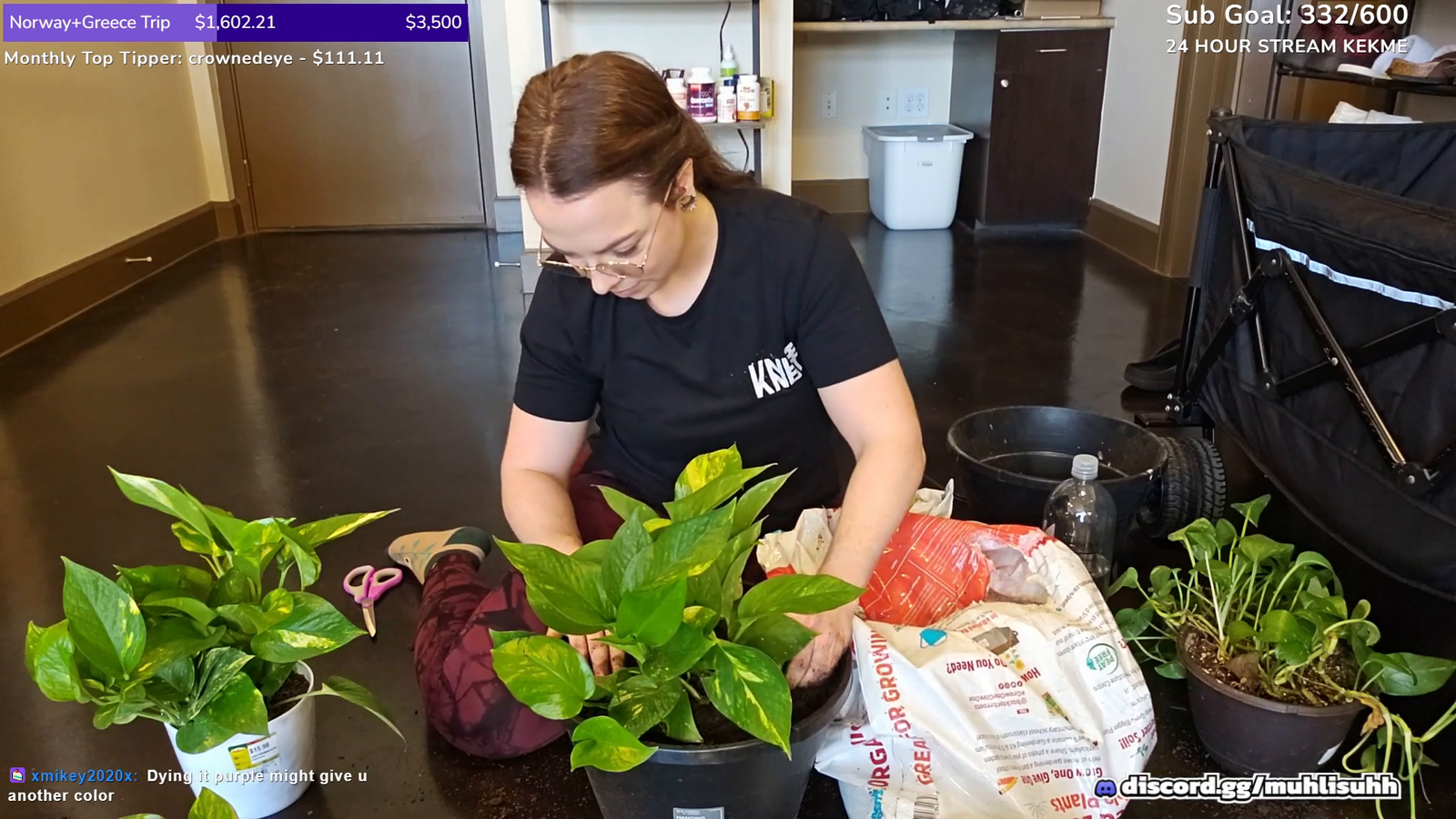 Streamer takes care of her plants