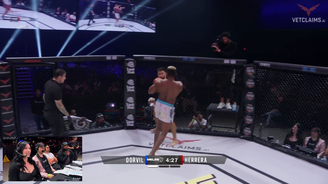 Clean knockout in MMA fight (Juliakins)