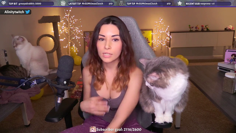 Alinity claims Trainwrecks stalked her at Pax East.