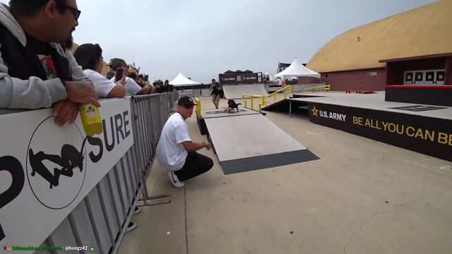 Wicked Skaterdog 