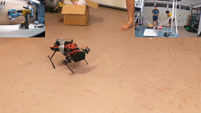 Michael Reeves's Robot Dog