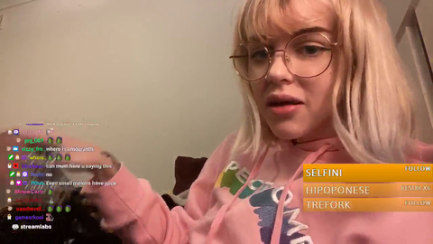 Car crash during Just Chatting stream