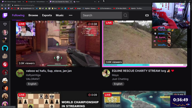 Ludwig Checks in on MayaHiga's Stream