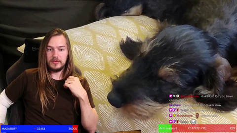 Dreaming puppy is very vocal with cute barks