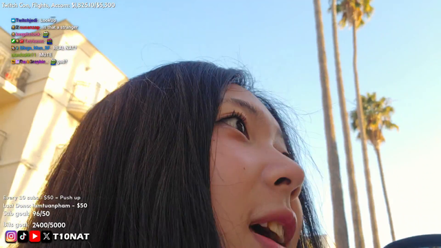 T10Nat Enters Random White Van on the streets of LA