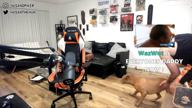 Alinity's husband caught abusing dog on stream