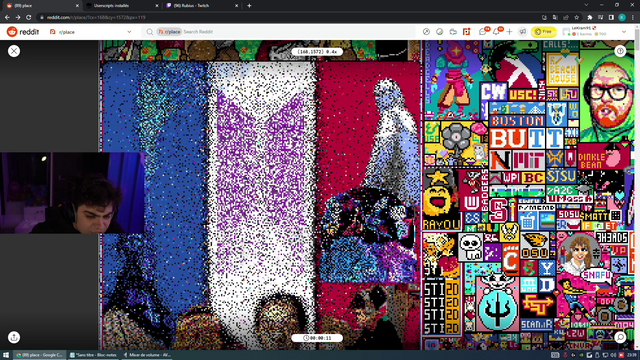 French streamers are working hard to save their flag